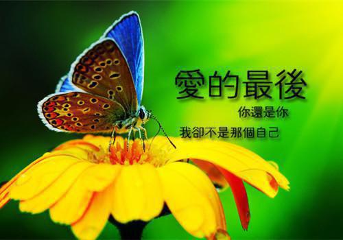 设计师工作报告