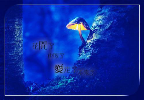 关于个人师德工作总结