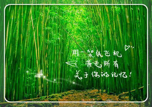 当代感悟读书的散文随笔