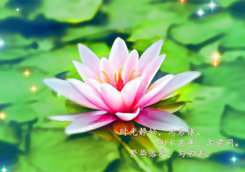 因人而异说话技巧