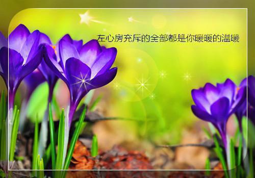 有哪些描写感恩父母的现代诗歌