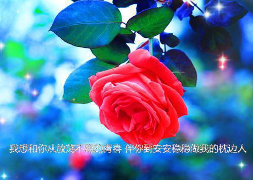 一周实习报告3篇