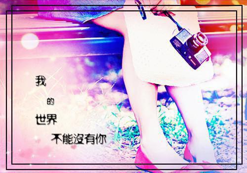 鲁侯养鸟的故事