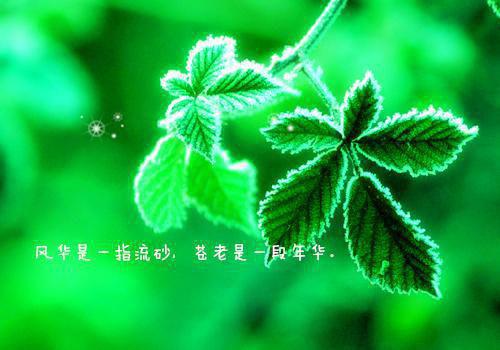 想起故乡的经典散文精选
