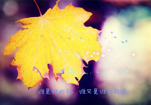 销售部职员实习报告