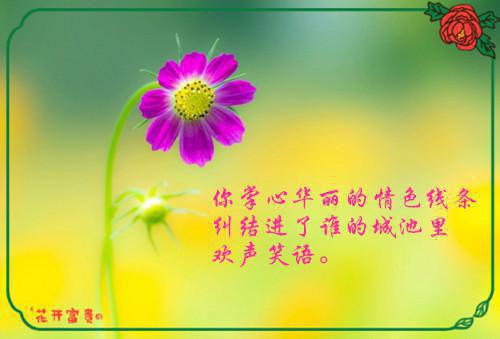 不要靠我太近，我害怕