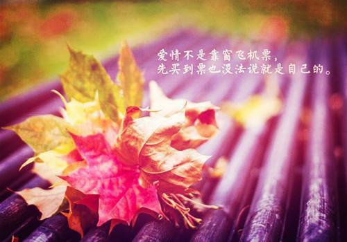 傅庭州苏枝夏小说(春到南楼雪尽处)小说结尾+隐藏篇章（傅庭州苏枝夏）畅享阅读