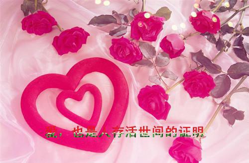 最简易板的辞职报告