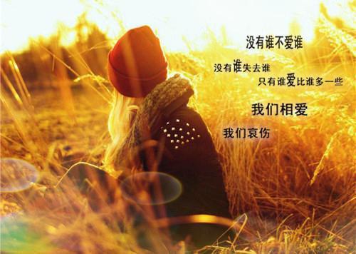 学校的元旦贺词集锦