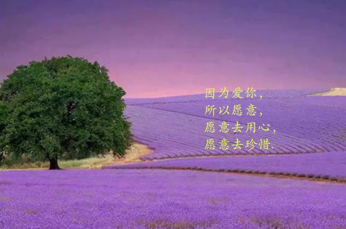 烫手孤立小说全文免费阅读(赵初夏胡晓娟)全文在线赵初夏胡晓娟读无弹窗大结局_(烫手孤立小说赵初夏胡晓娟)烫手孤立小说在线赵初夏胡晓娟读无弹窗最新章节列表_笔趣阁(赵初夏胡晓娟)