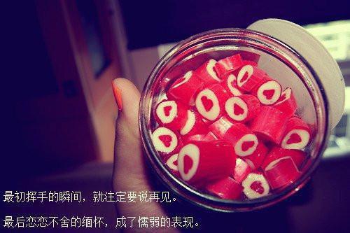 优秀音乐会主持词范文