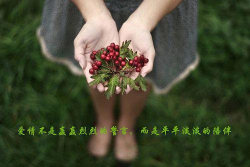 (番外)+(全文)夏又宁顾承宴：结局+番外(夏又宁顾承宴)全文免费阅读无弹窗大结局_(夏又宁顾承宴：结局+番外)最新章节列表_笔趣阁(夏又宁顾承宴)