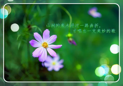 古代养生格言