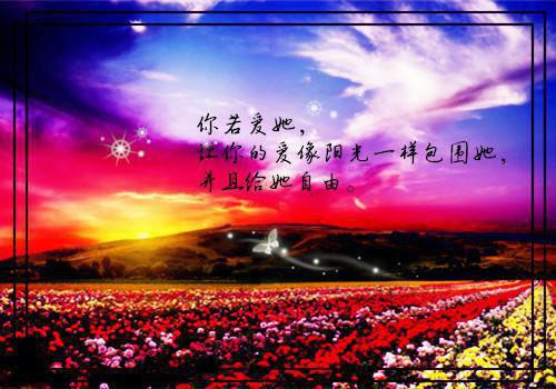 沈棠贺旭小说(怂包美人穿七零，野痞首长宠妻忙)章节目录+起始篇章（沈棠贺旭）全章无套路在线