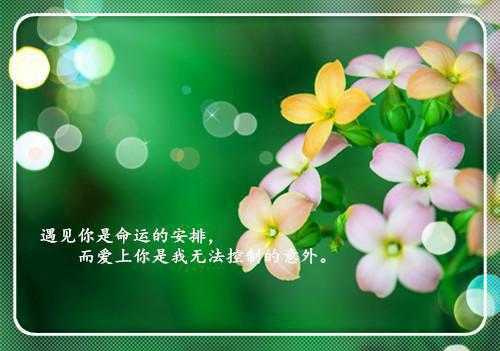 3岁宝宝喜欢的有趣睡前故事