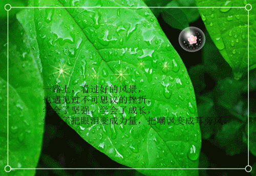 闺蜜结婚红包祝福语大全