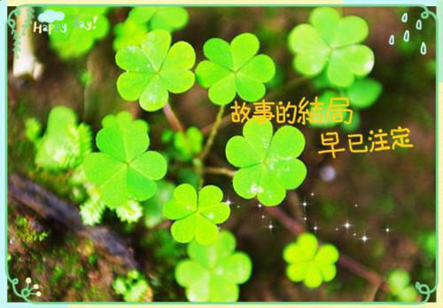 保安离职报告