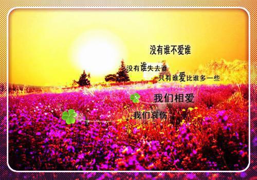 (番外)+(全文)于竹林深处说再见：结局+番外+完结（聂晚竹顾左立米薇薇）完整全文在线阅读_于竹林深处说再见：结局+番外+完结免费阅读最新章节列表_笔趣阁（聂晚竹顾左立米薇薇）