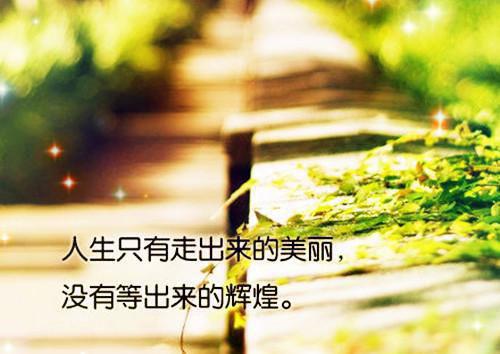 姜姮陆季迟小说全文免费阅读_（姜姮陆季迟）最新章节