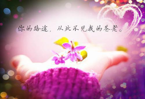 关于元旦的诗——《和浙东童仓使建昌家圃梅花玉雪亭诗三首(其二)》