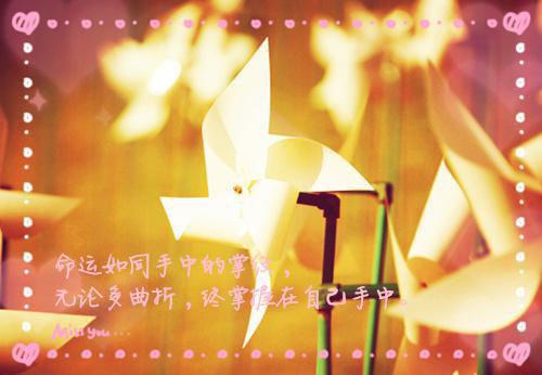 母亲的心情记录