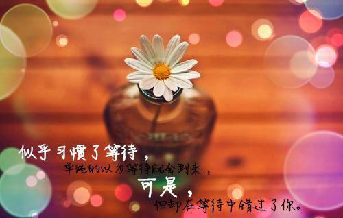 离任审计述职报告