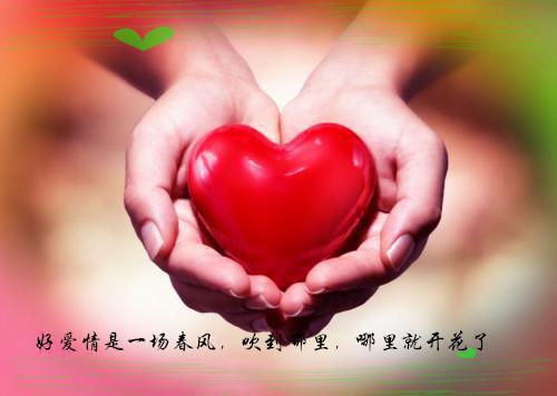 花郁月秦萧寒(静待花开终有时)全文免费阅读无弹窗大结局_(静待花开终有时)花郁月秦萧寒最新章节列表笔趣阁（花郁月秦萧寒静待花开终有时）