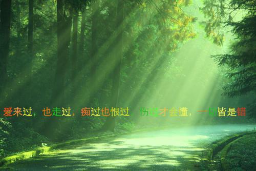 世界历史故事