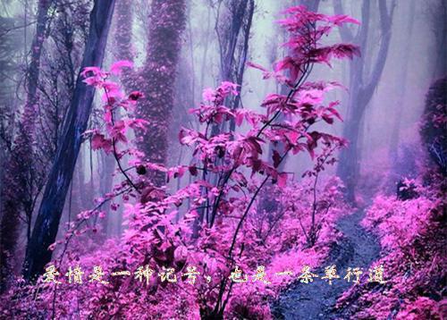 【精选】教师述职报告范文十篇