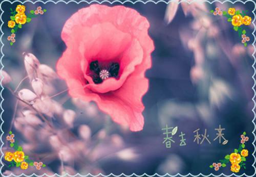 加急爱情梅清韵裴渡（梅清韵裴渡）全文免费阅读无弹窗大结局_(真千金太彪悍,五个大佬哥哥知乎跪求原谅)加急爱情梅清韵裴渡免费阅读无弹窗最新章节列表_笔趣阁（梅清韵裴渡）