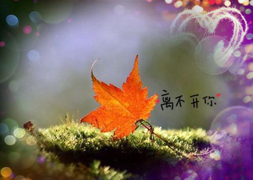 短的经典寓言故事