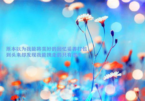 试用期的辞职报告范文