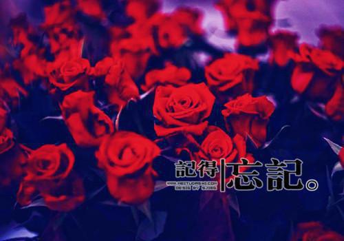 边陲散文诗3篇