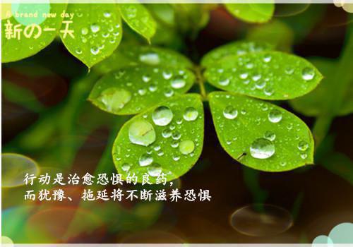 建筑专业顶岗实习周记