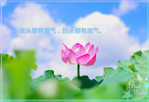 班主任教师的辞职报告范文