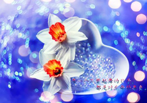墨冥渊容凛彩蛋（废太子一跃而下后，陛下他后悔了）全书在线下载阅读完美终章小说大结局