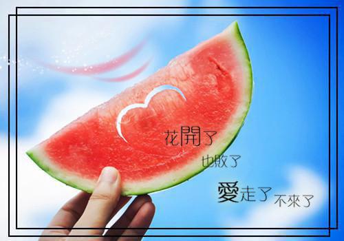 有关1000字精美的散文