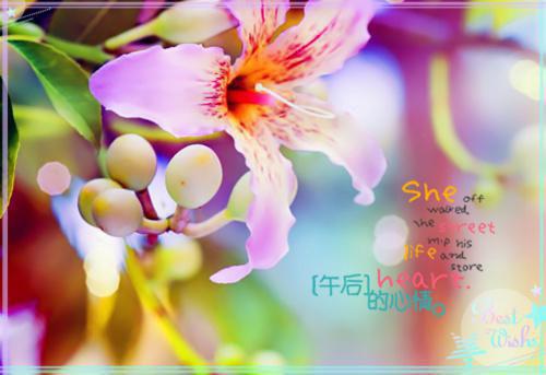 见习生离职感言