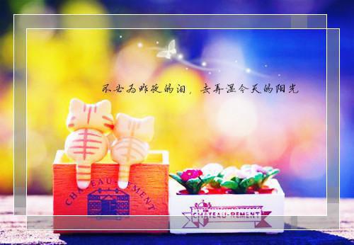宋也苏阮小说最后结局 听说你要抵抗我完结版免费阅读