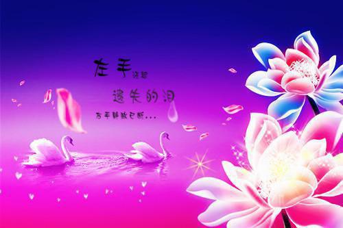 服务员6月份月底总结