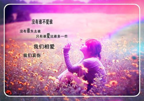 重阳节的诗句——《重阳夜集兰陵居与宣上人联句》