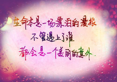 精选图书馆实习报告4篇