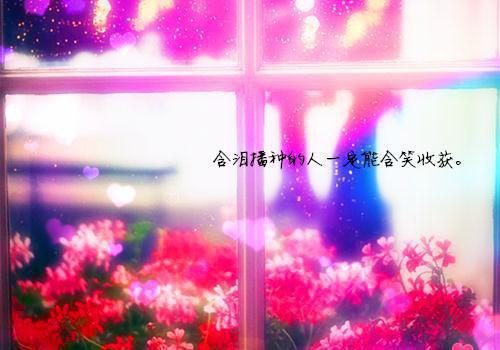 幼儿教师故事演讲稿中的故事