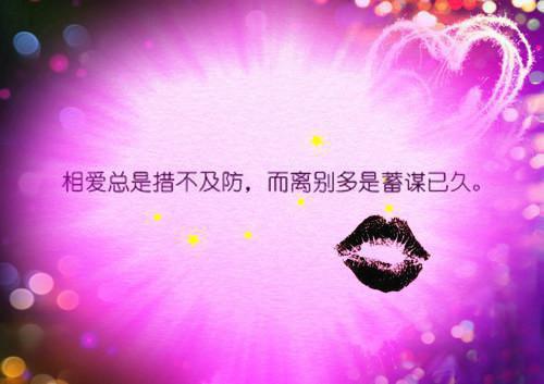 教务处副处长的述职报告