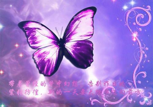 车间工艺员辞职报告范文