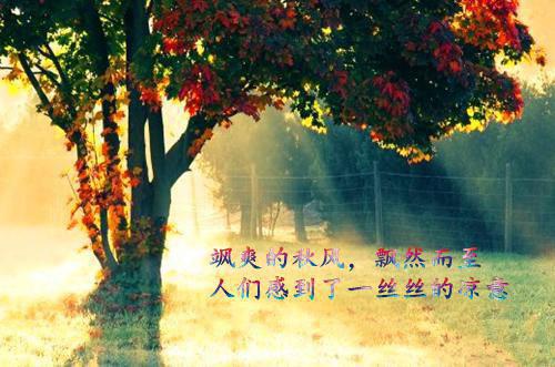 大学校园励志格言集锦