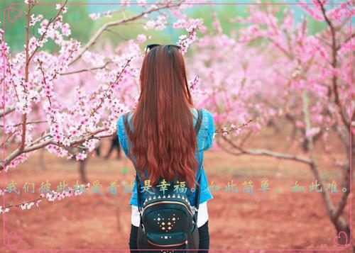 最新教师的辞职报告