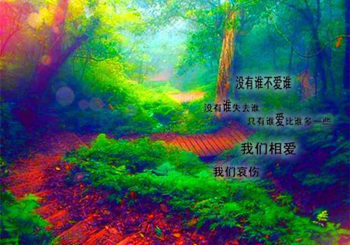 结婚八字祝福语集锦