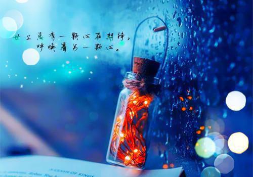 第一学期电教工作总结