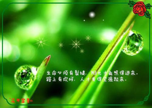 靳琛洛年全文免费阅读（微甜复得小说）全文免费靳琛洛年读无弹窗大结局_(靳琛洛年微甜复得小说免费靳琛洛年读全文大结局)最新章节列表_笔趣阁（靳琛洛年）